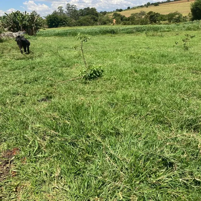 Foto 5 de Fazenda / Haras à venda em Silvianopolis - MG