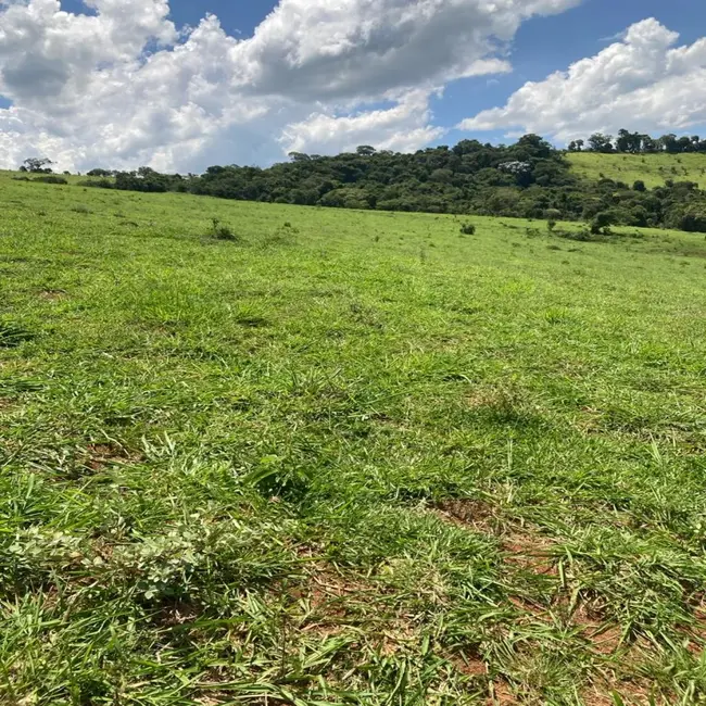 Foto 8 de Fazenda / Haras à venda em Silvianopolis - MG