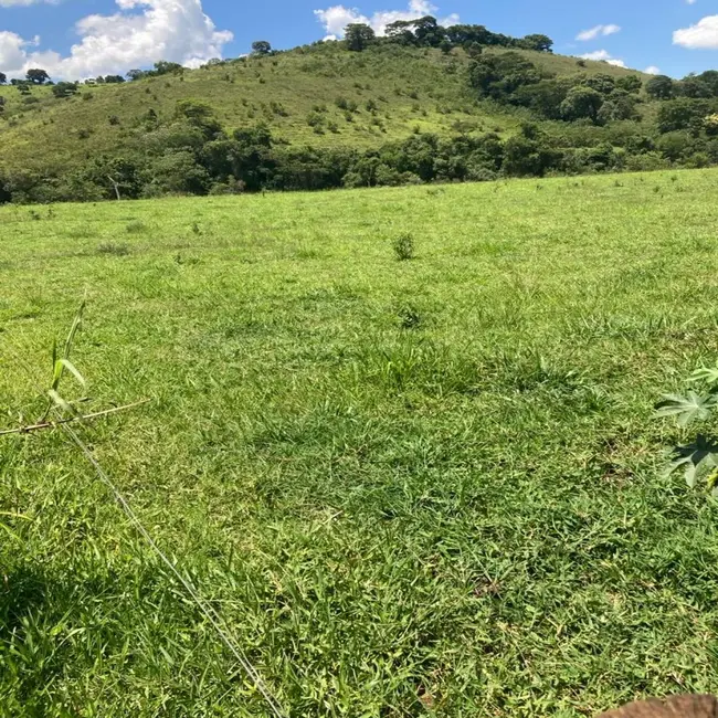 Foto 4 de Fazenda / Haras à venda em Silvianopolis - MG