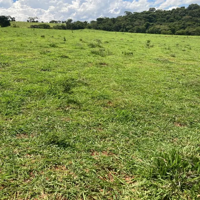 Foto 7 de Fazenda / Haras à venda em Silvianopolis - MG