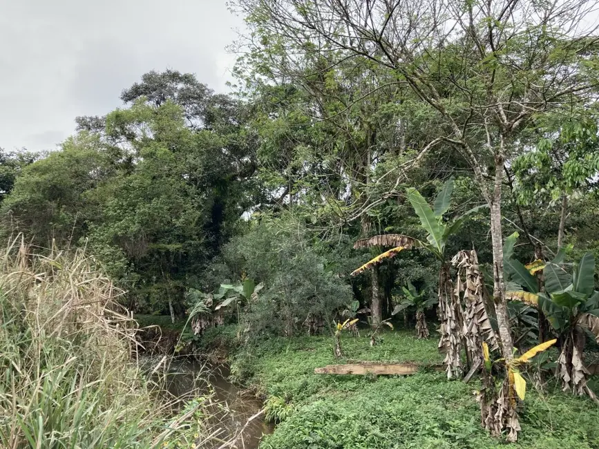 Foto 4 de Chácara com 3 quartos à venda, 140m2 em Morretes - PR