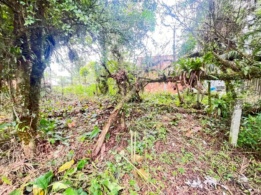 Foto 6 de Terreno / Lote à venda, 600m2 em Guaraguaçu, Pontal Do Parana - PR