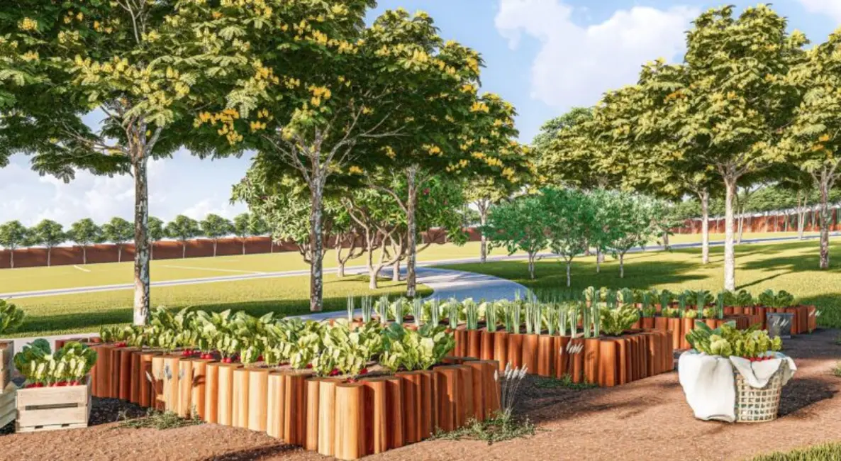 Foto 7 de Terreno / Lote à venda, 938m2 em Jardim Vitória, Goiania - GO