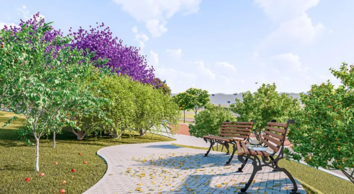 Foto 8 de Terreno / Lote à venda, 938m2 em Jardim Vitória, Goiania - GO