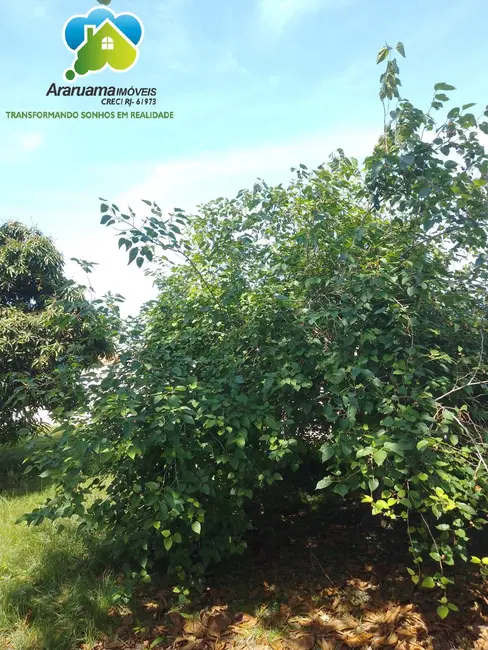 Foto 7 de Terreno / Lote à venda, 360m2 em Araruama - RJ