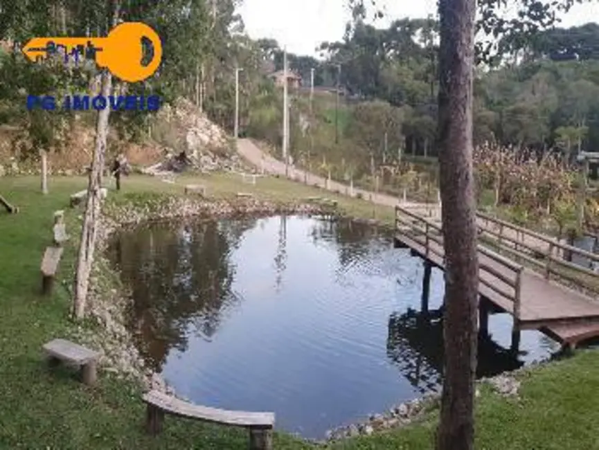 Chácara com 4 quartos à venda, 3040m2 em Mandirituba - PR - imagem 7 Foto 7 de Chácara com 4 quartos à venda, 3040m2 em Mandirituba - PR
