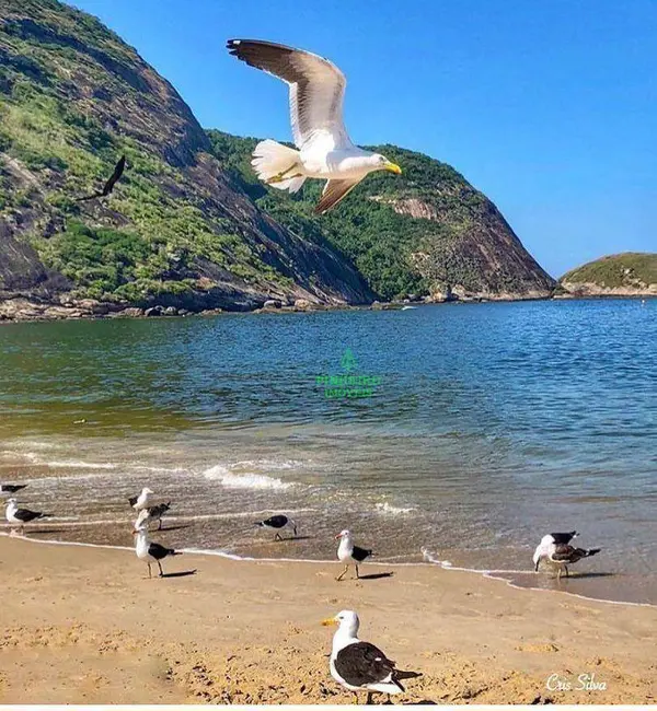 Foto 2 de Pousada com 21 quartos à venda, 1200m2 em Itaipu, Niteroi - RJ