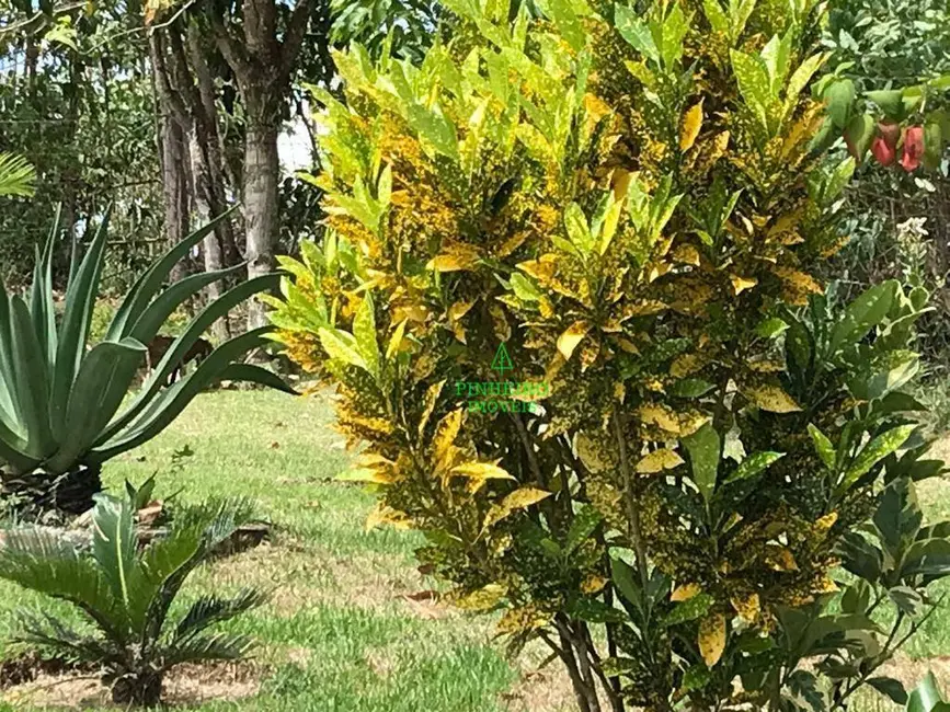 Foto 3 de Chácara com 4 quartos à venda, 6700m2 em Rio Bonito - RJ