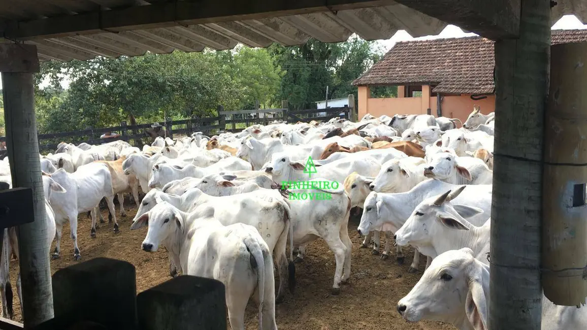 Foto 7 de Fazenda / Haras com 4 quartos à venda, 2446466m2 em Araruama - RJ