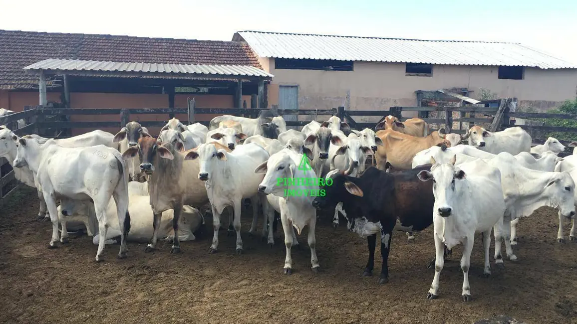 Foto 5 de Fazenda / Haras com 4 quartos à venda, 2446466m2 em Araruama - RJ