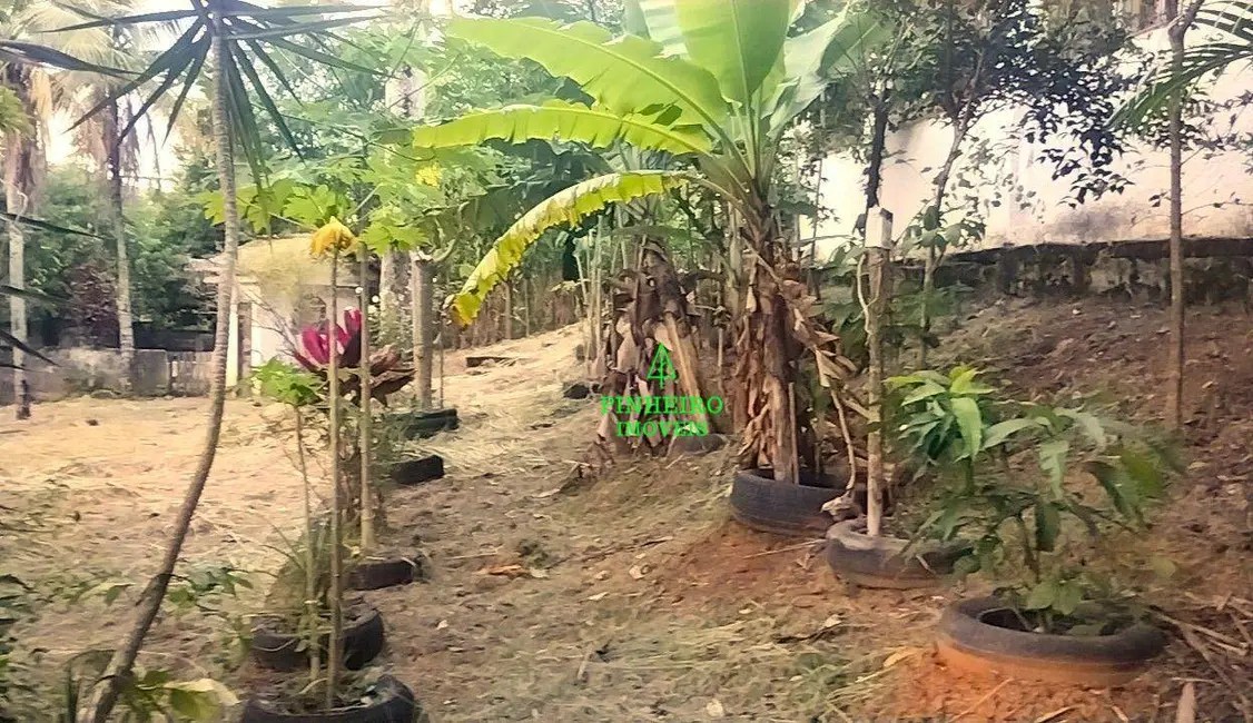 Chácara com 5 quartos à venda, 3200m2 em Pindobas, Marica - RJ - imagem 7 Foto 7 de Chácara com 5 quartos à venda, 3200m2 em Pindobas, Marica - RJ