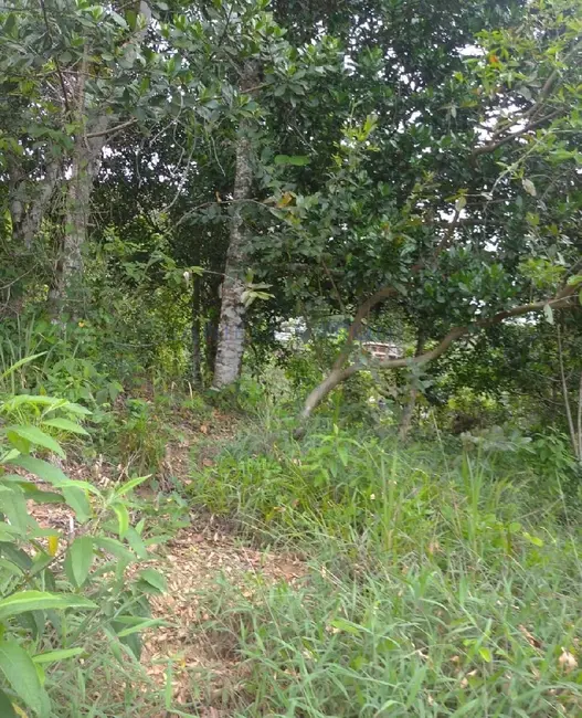 Foto 2 de Terreno / Lote à venda, 1010m2 em Ilhabela - SP