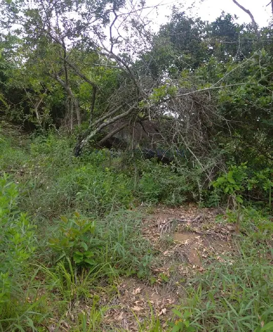 Foto 3 de Terreno / Lote à venda, 1010m2 em Ilhabela - SP
