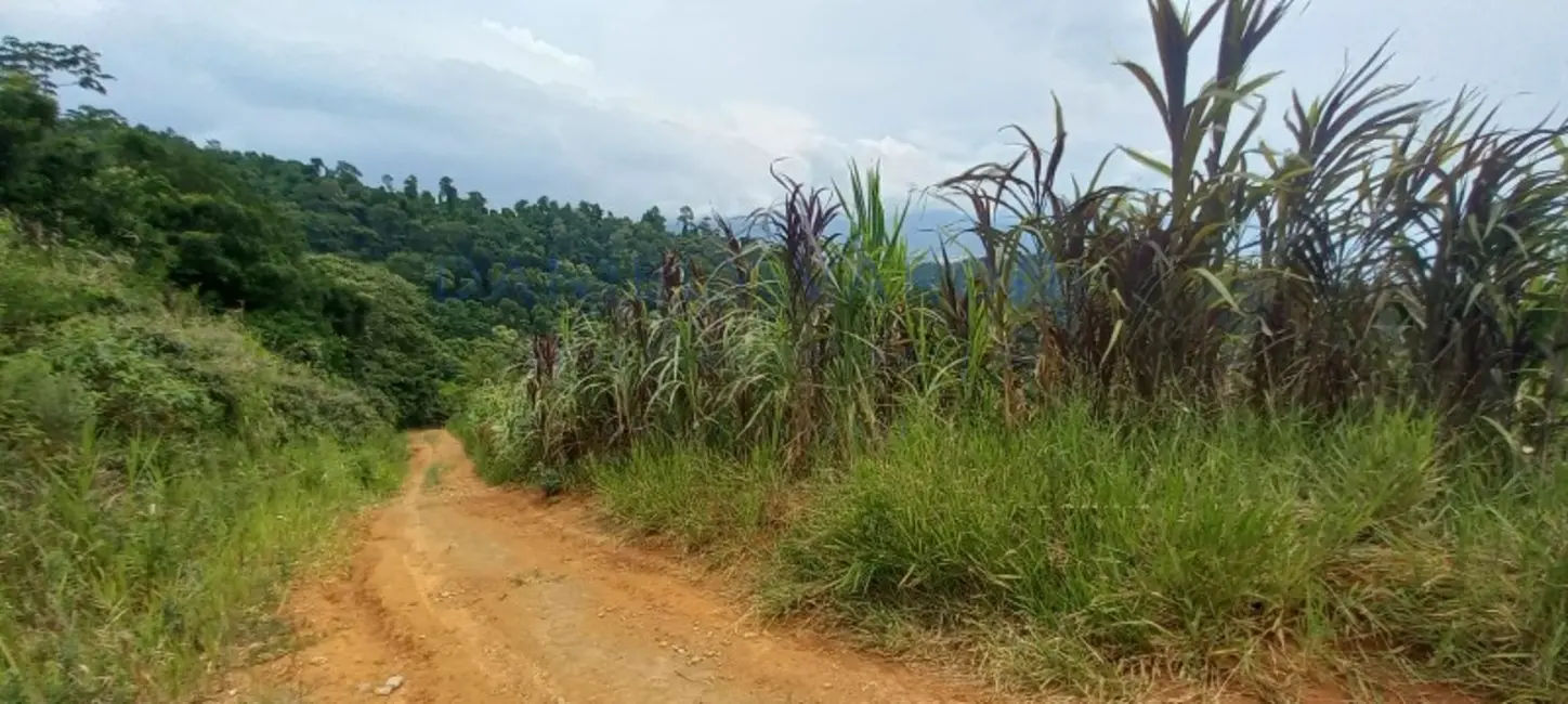 Foto 5 de Terreno / Lote à venda, 12520m2 em Barra Velha, Ilhabela - SP