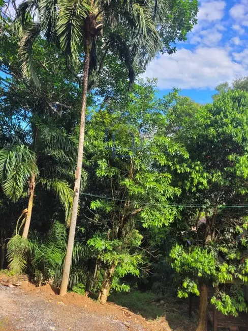 Foto 3 de Terreno / Lote à venda, 622m2 em Ilhabela - SP