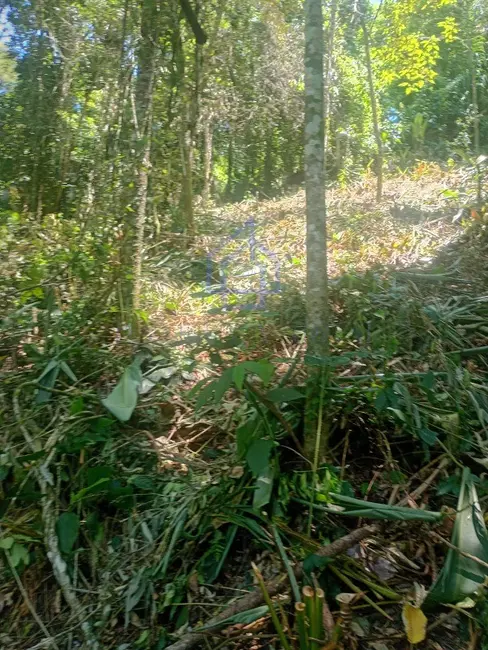Foto 1 de Terreno / Lote à venda, 1912m2 em Ilhabela - SP