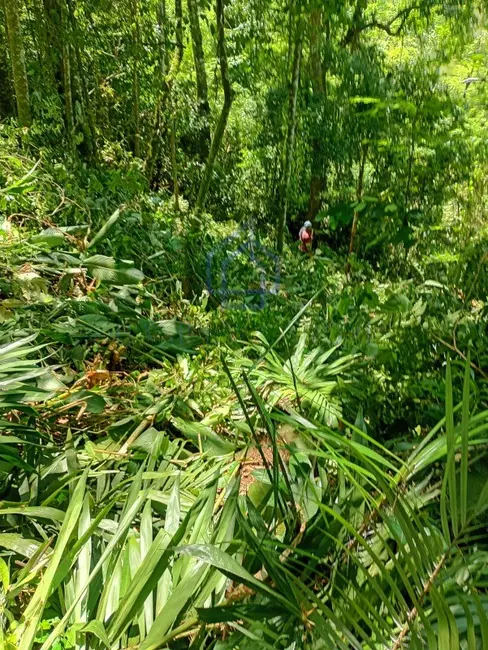 Foto 2 de Terreno / Lote à venda, 1912m2 em Ilhabela - SP