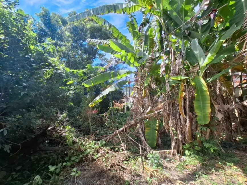Foto 8 de Terreno / Lote à venda, 449m2 em Ilhabela - SP