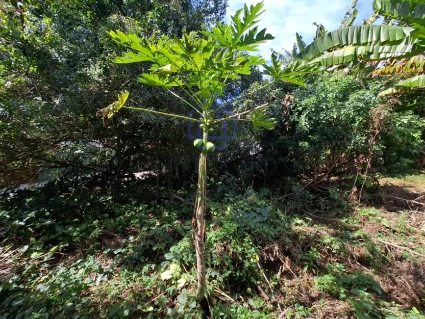 Foto 3 de Terreno / Lote à venda, 449m2 em Ilhabela - SP