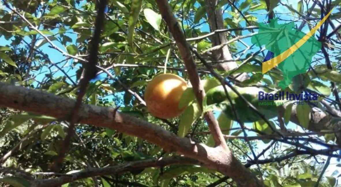 Foto 9 de Fazenda / Haras à venda, 30m2 em Porto Seguro - BA