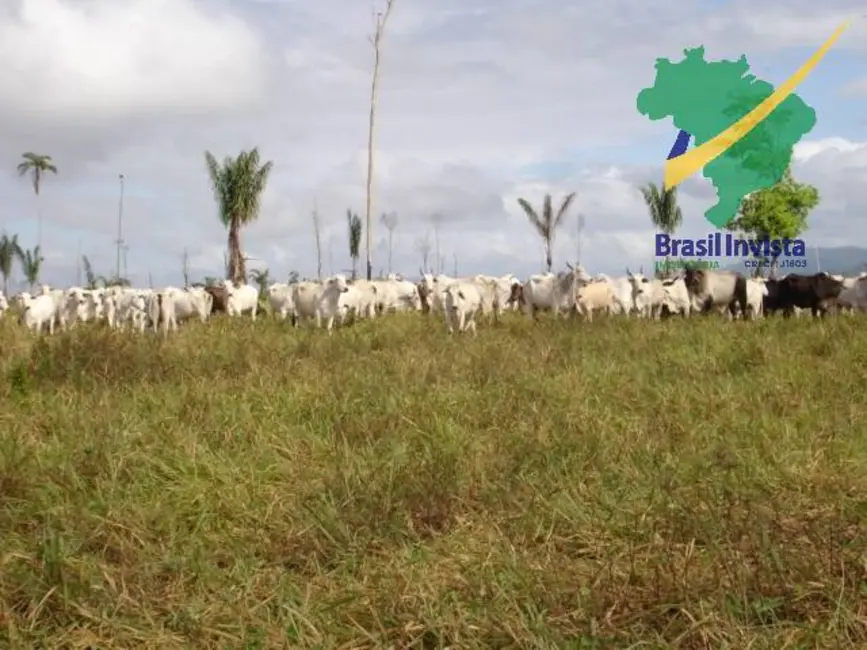 Foto 1 de Fazenda / Haras à venda, 12675000m2 em Centro, Buerarema - BA