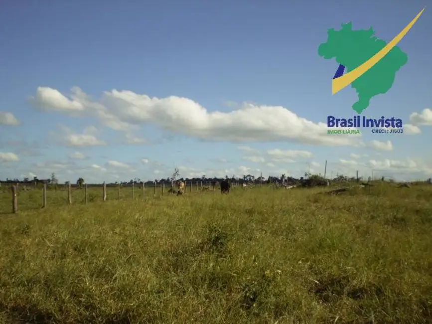 Foto 8 de Fazenda / Haras à venda, 12675000m2 em Centro, Buerarema - BA