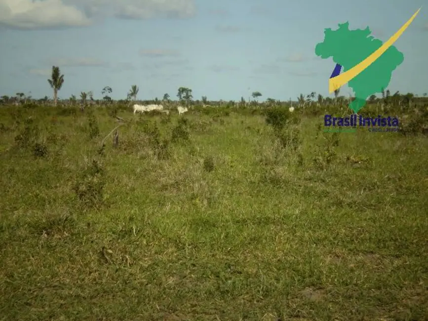 Foto 9 de Fazenda / Haras à venda, 12675000m2 em Centro, Buerarema - BA