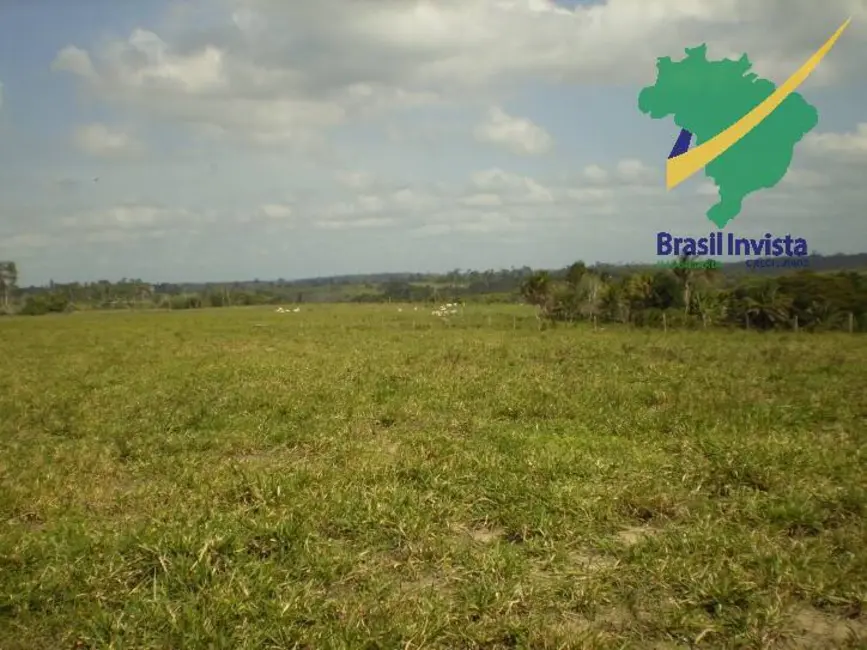 Foto 3 de Fazenda / Haras à venda, 12675000m2 em Centro, Buerarema - BA