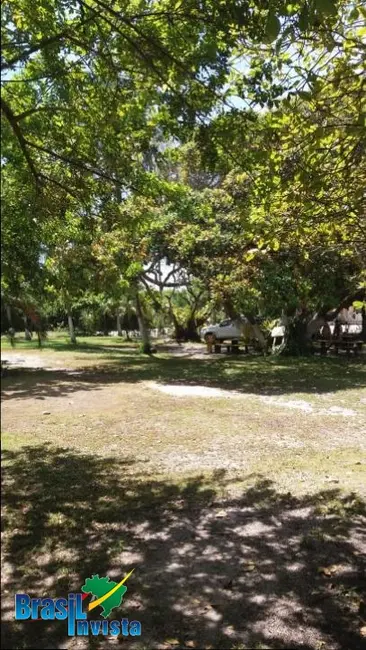 Terreno / Lote à venda, 4582m2 em Santa Cruz Cabralia - BA - imagem 9 Foto 9 de Terreno / Lote à venda, 4582m2 em Santa Cruz Cabralia - BA