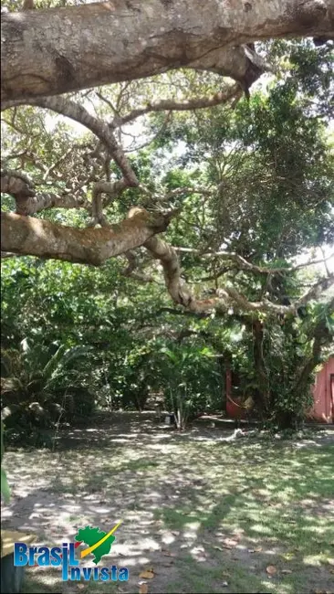Terreno / Lote à venda, 4582m2 em Santa Cruz Cabralia - BA - imagem 7 Foto 7 de Terreno / Lote à venda, 4582m2 em Santa Cruz Cabralia - BA