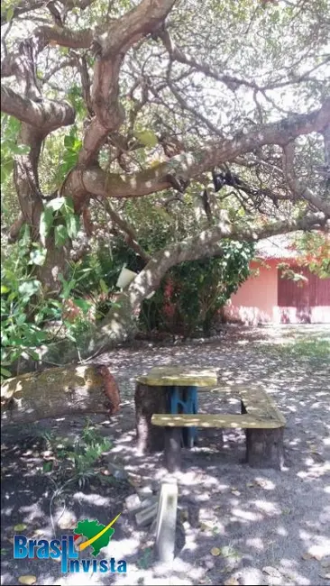 Terreno / Lote à venda, 4582m2 em Santa Cruz Cabralia - BA - imagem 8 Foto 8 de Terreno / Lote à venda, 4582m2 em Santa Cruz Cabralia - BA