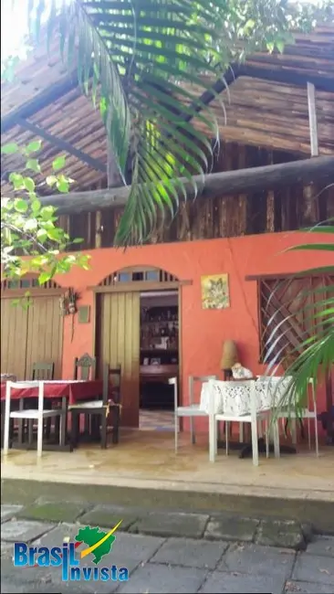 Terreno / Lote à venda, 4582m2 em Santa Cruz Cabralia - BA - imagem 3 Foto 3 de Terreno / Lote à venda, 4582m2 em Santa Cruz Cabralia - BA