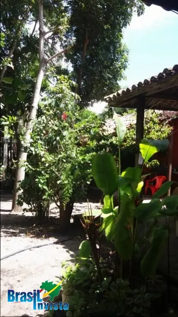 Terreno / Lote à venda, 4582m2 em Santa Cruz Cabralia - BA - imagem 4 Foto 4 de Terreno / Lote à venda, 4582m2 em Santa Cruz Cabralia - BA