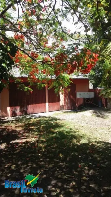 Terreno / Lote à venda, 4582m2 em Santa Cruz Cabralia - BA - imagem 5 Foto 5 de Terreno / Lote à venda, 4582m2 em Santa Cruz Cabralia - BA