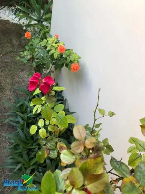 Foto 3 de Casa com 4 quartos à venda, 1560m2 em Porto Seguro - BA