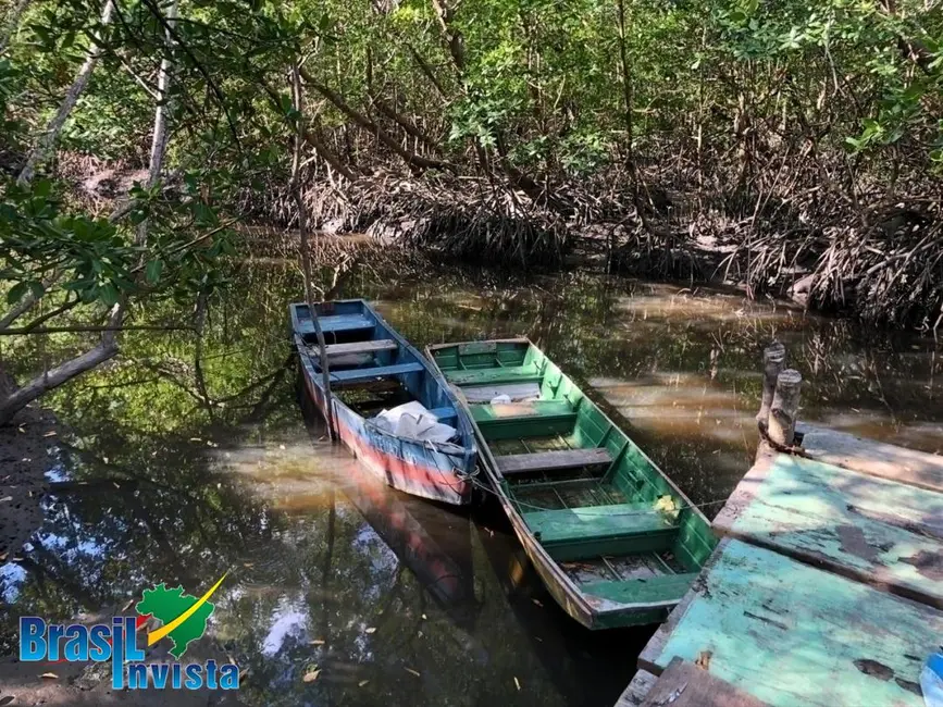 Foto 6 de Casa com 3 quartos à venda, 7759m2 em Santa Cruz Cabralia - BA