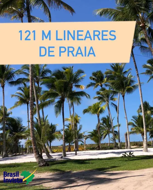 Terreno / Lote à venda, 5750m2 em Santa Cruz Cabralia - BA - imagem 4 Foto 4 de Terreno / Lote à venda, 5750m2 em Santa Cruz Cabralia - BA