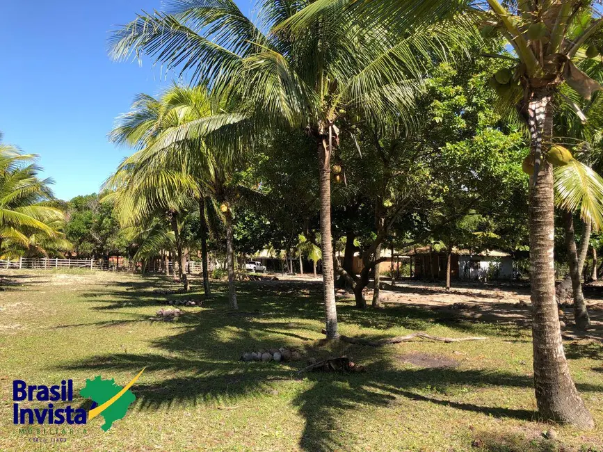 Terreno / Lote à venda, 5750m2 em Santa Cruz Cabralia - BA - imagem 5 Foto 5 de Terreno / Lote à venda, 5750m2 em Santa Cruz Cabralia - BA