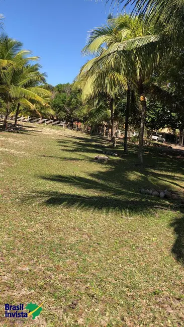 Terreno / Lote à venda, 5750m2 em Santa Cruz Cabralia - BA - imagem 8 Foto 8 de Terreno / Lote à venda, 5750m2 em Santa Cruz Cabralia - BA