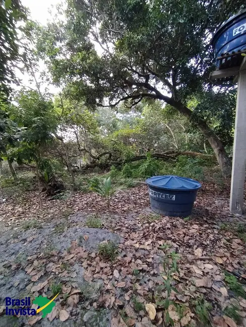 Foto 8 de Terreno / Lote à venda, 2600m2 em Porto Seguro - BA