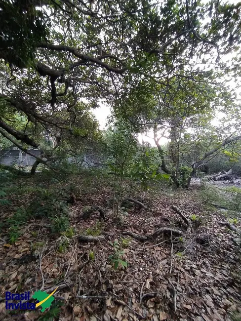 Foto 5 de Terreno / Lote à venda, 2600m2 em Porto Seguro - BA