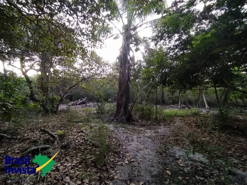 Foto 7 de Terreno / Lote à venda, 2600m2 em Porto Seguro - BA