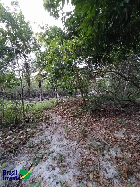 Foto 4 de Terreno / Lote à venda, 2600m2 em Porto Seguro - BA