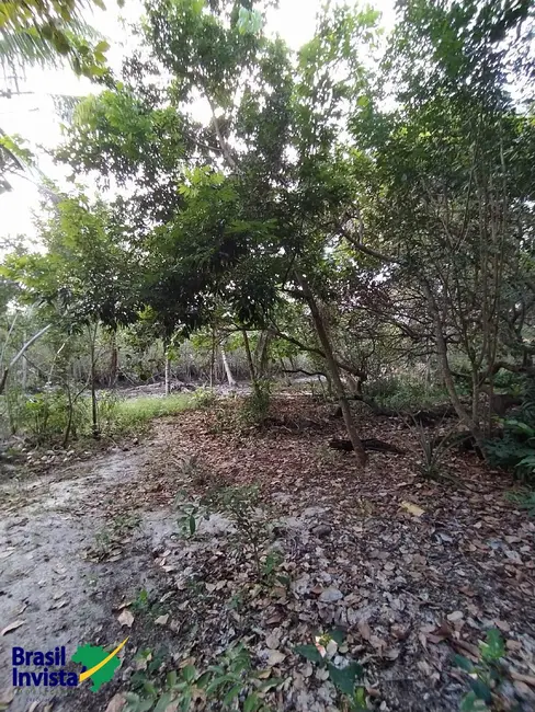 Foto 6 de Terreno / Lote à venda, 2600m2 em Porto Seguro - BA