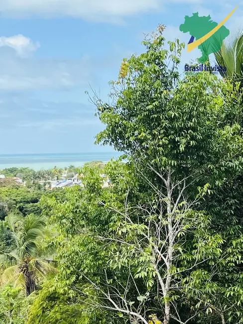 Terreno / Lote à venda em Porto Seguro - BA - imagem 9 Foto 9 de Terreno / Lote à venda em Porto Seguro - BA