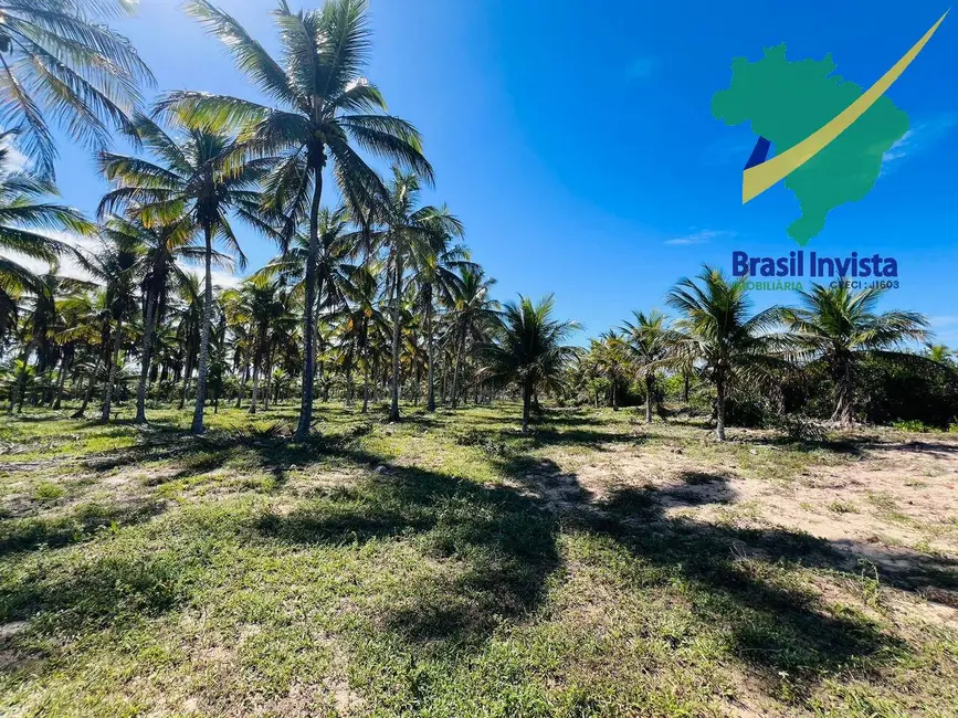 Terreno / Lote à venda em Santa Cruz Cabralia - BA - imagem 3 Foto 3 de Terreno / Lote à venda em Santa Cruz Cabralia - BA