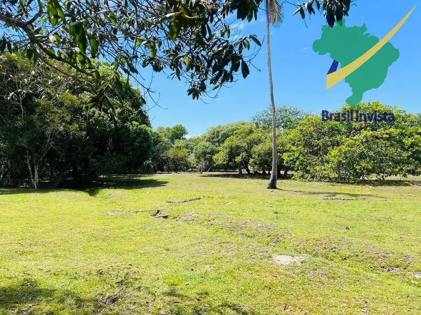 Terreno / Lote à venda em Santa Cruz Cabralia - BA - imagem 8 Foto 8 de Terreno / Lote à venda em Santa Cruz Cabralia - BA