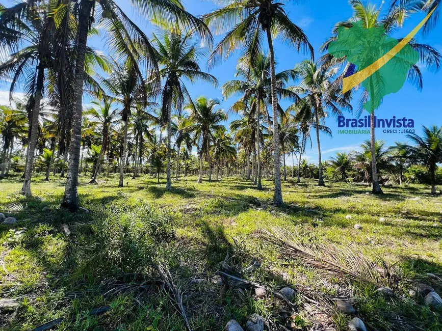 Terreno / Lote à venda, 120000m2 em Santa Cruz Cabralia - BA - imagem 3 Foto 3 de Terreno / Lote à venda, 120000m2 em Santa Cruz Cabralia - BA