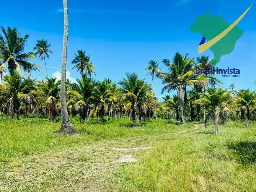 Terreno / Lote à venda, 120000m2 em Santa Cruz Cabralia - BA - imagem 8 Foto 8 de Terreno / Lote à venda, 120000m2 em Santa Cruz Cabralia - BA