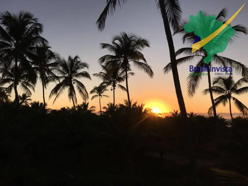 Terreno / Lote à venda, 67614m2 em Santa Cruz Cabralia - BA - imagem 9 Foto 9 de Terreno / Lote à venda, 67614m2 em Santa Cruz Cabralia - BA